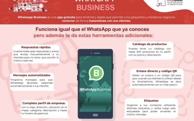 Píldora 15: Whatsapp Business
